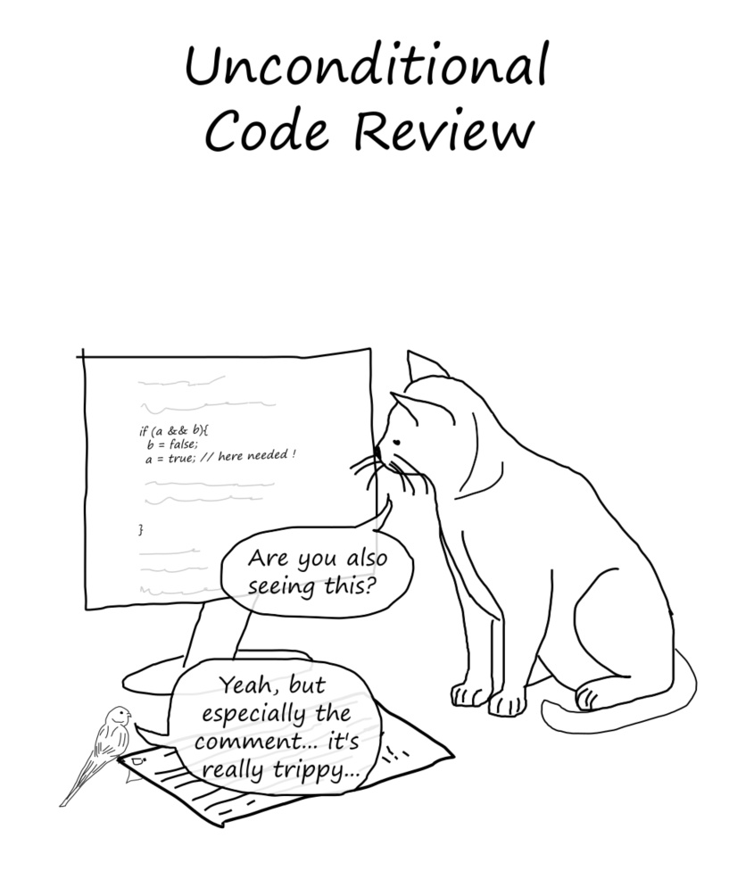 code review if statement condition true false cat bird canary laptop screen bad source code