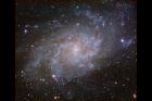 Nagy Péter:M33 Triangulum Galaxis(2017. nov. 30.)