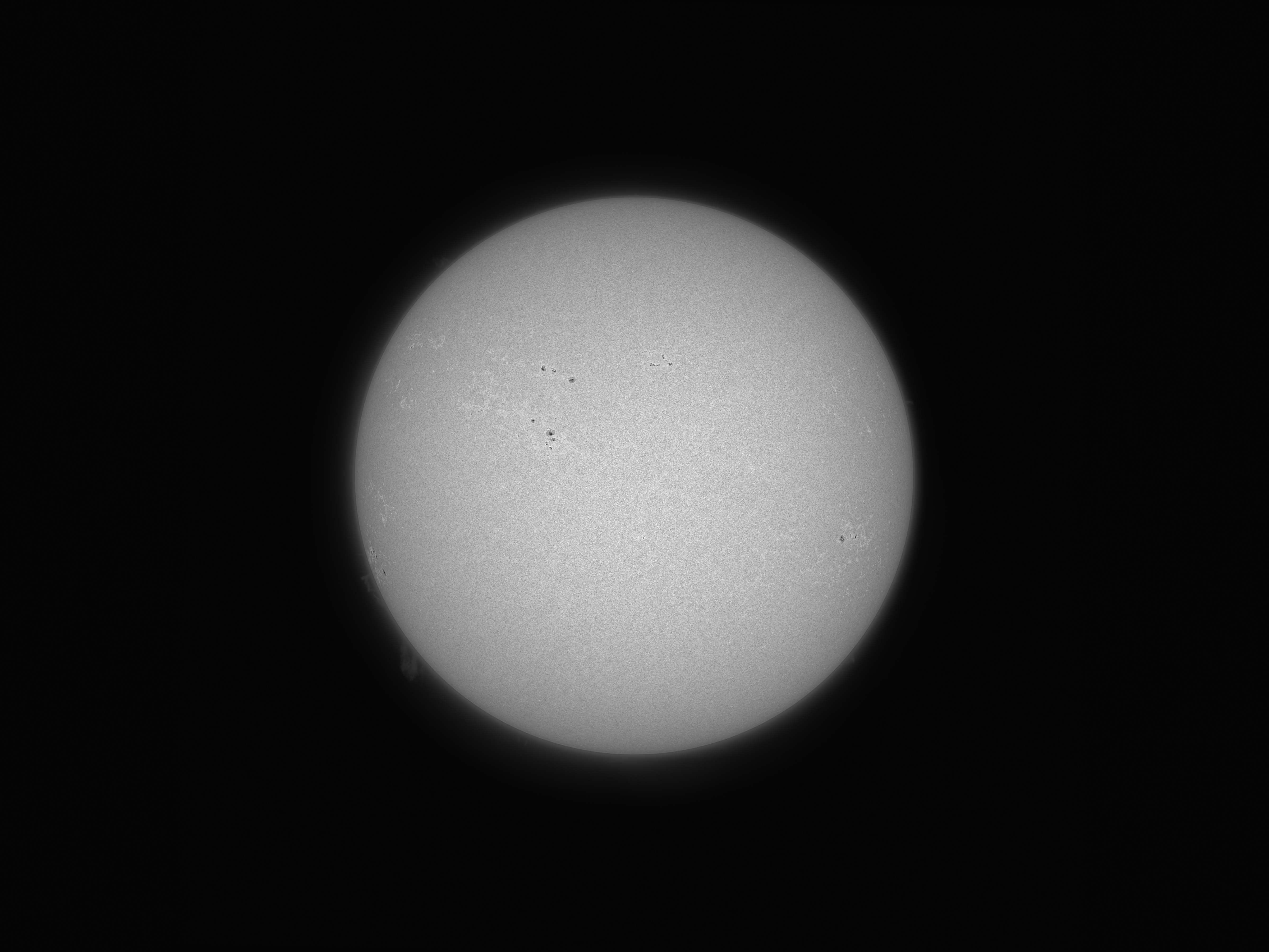 Antlia's 3nm Halxx filter, one can dig out the prominences fairly easily